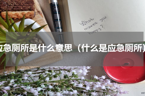 应急厕所是什么意思（什么是应急厕所）