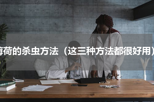薄荷的杀虫方法（这三种方法都很好用）