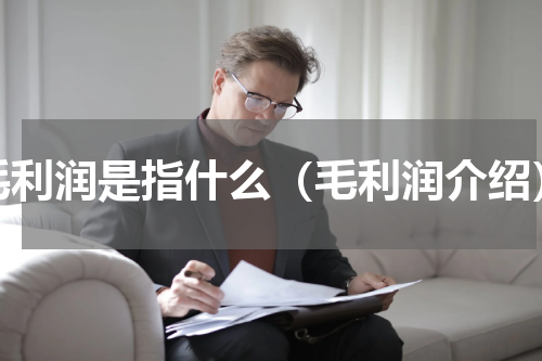 毛利润是指什么（毛利润介绍）