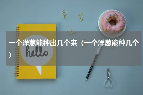 一个洋葱能种出几个来（一个洋葱能种几个）
