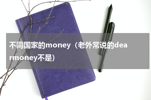 不同国家的money（老外常说的dearmoney不是）