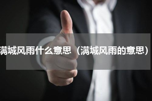 满城风雨什么意思（满城风雨的意思）