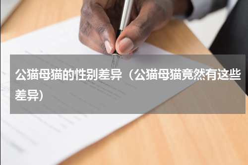公猫母猫的性别差异（公猫母猫竟然有这些差异）