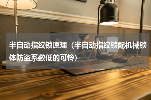 半自动指纹锁原理（半自动指纹锁配机械锁体防盗系数低的可怜）