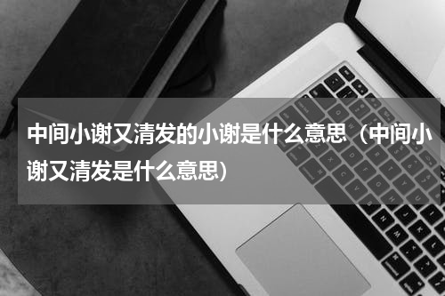 中间小谢又清发的小谢是什么意思（中间小谢又清发是什么意思）