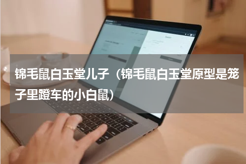 锦毛鼠白玉堂儿子（锦毛鼠白玉堂原型是笼子里蹬车的小白鼠）