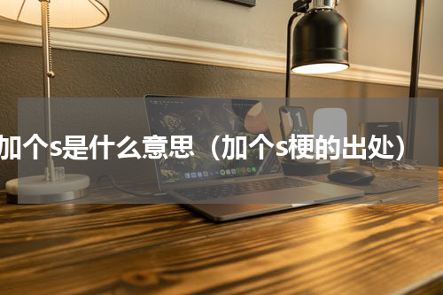 加个s是什么意思（加个s梗的出处）