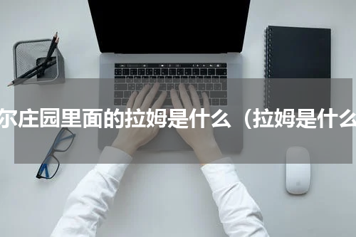 摩尔庄园里面的拉姆是什么（拉姆是什么）