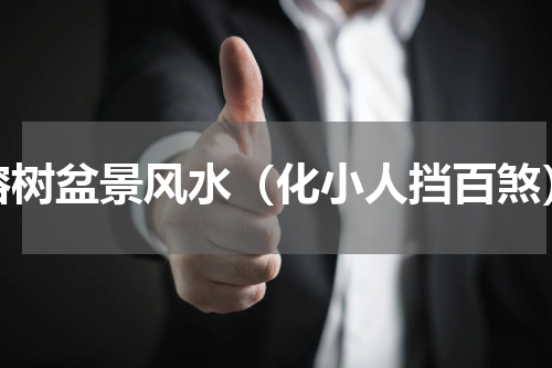 榕树盆景风水（化小人挡百煞）