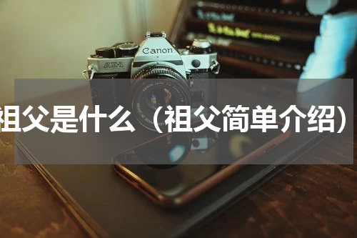 祖父是什么（祖父简单介绍）