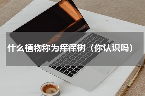 什么植物称为痒痒树（你认识吗）