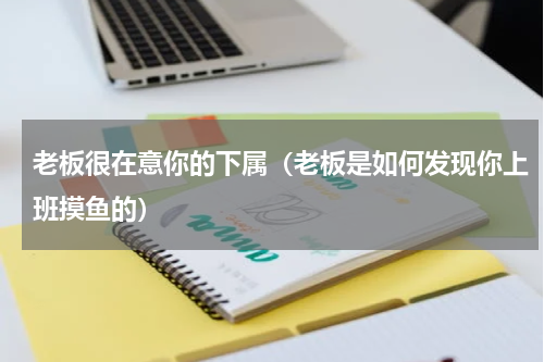 老板很在意你的下属（老板是如何发现你上班摸鱼的）