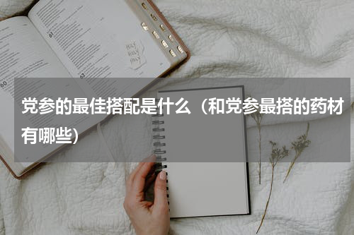 党参的最佳搭配是什么（和党参最搭的药材有哪些）
