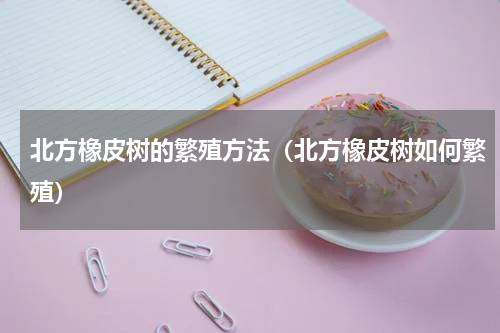 北方橡皮树的繁殖方法（北方橡皮树如何繁殖）