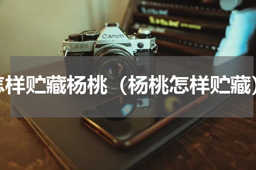 怎样贮藏杨桃（杨桃怎样贮藏）