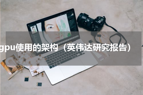 gpu使用的架构（英伟达研究报告）