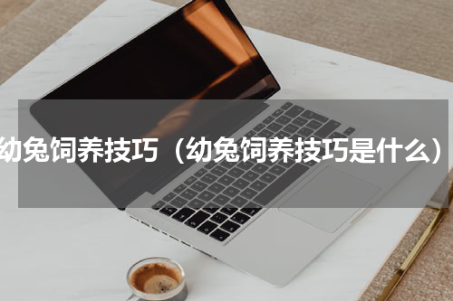 幼兔饲养技巧（幼兔饲养技巧是什么）