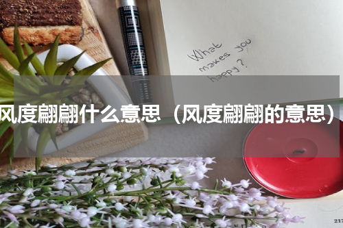 风度翩翩什么意思（风度翩翩的意思）
