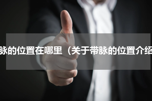 带脉的位置在哪里（关于带脉的位置介绍）
