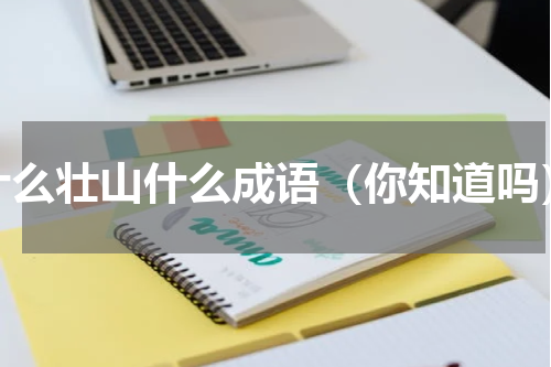 什么壮山什么成语（你知道吗）