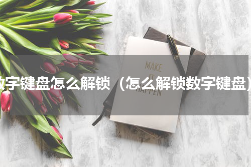 数字键盘怎么解锁（怎么解锁数字键盘）