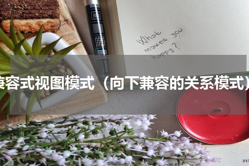 兼容式视图模式（向下兼容的关系模式）