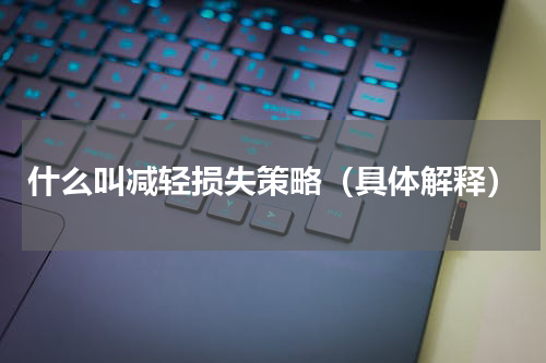 什么叫减轻损失策略（具体解释）