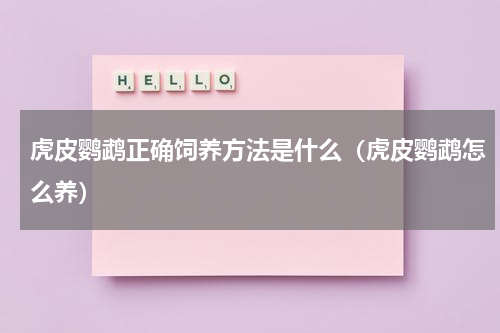 虎皮鹦鹉正确饲养方法是什么（虎皮鹦鹉怎么养）