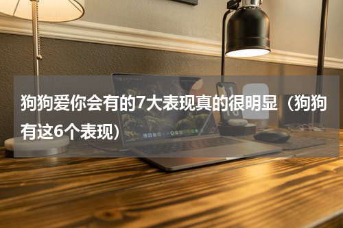 狗狗爱你会有的7大表现真的很明显（狗狗有这6个表现）