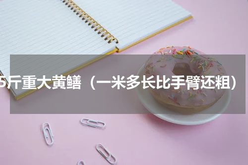 5斤重大黄鳝（一米多长比手臂还粗）