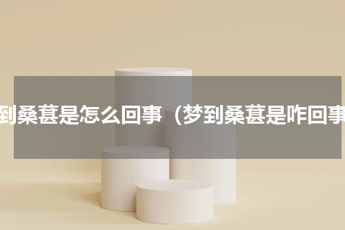 梦到桑葚是怎么回事（梦到桑葚是咋回事）