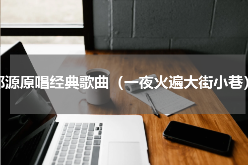郑源原唱经典歌曲（一夜火遍大街小巷）