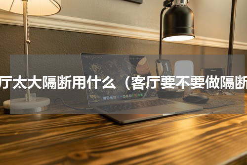 客厅太大隔断用什么（客厅要不要做隔断）