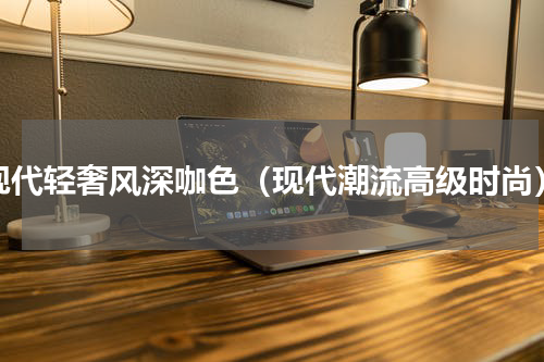 现代轻奢风深咖色（现代潮流高级时尚）