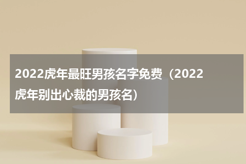 2022虎年最旺男孩名字免费（2022虎年别出心裁的男孩名）