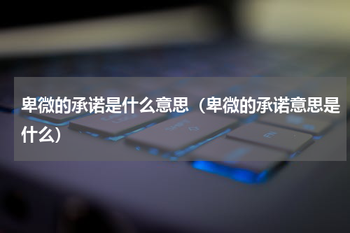 卑微的承诺是什么意思（卑微的承诺意思是什么）