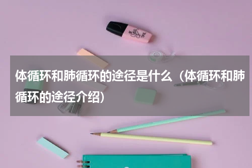 体循环和肺循环的途径是什么（体循环和肺循环的途径介绍）