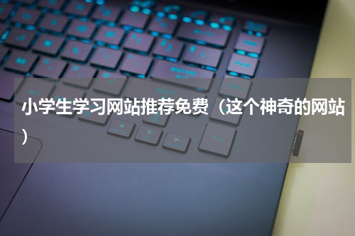 小学生学习网站推荐免费（这个神奇的网站）