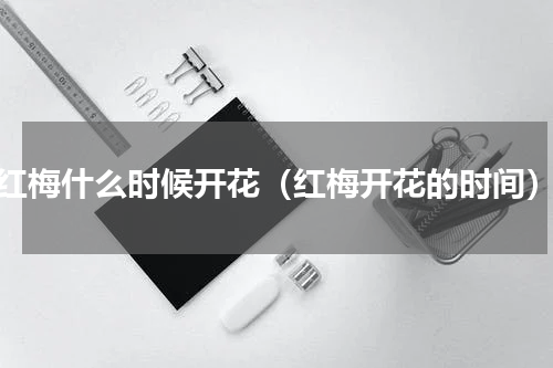 红梅什么时候开花（红梅开花的时间）