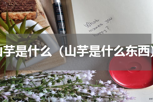山芋是什么（山芋是什么东西）