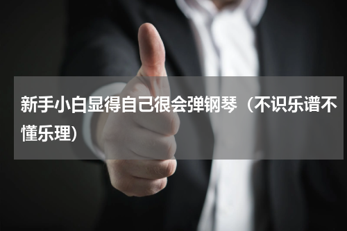 新手小白显得自己很会弹钢琴（不识乐谱不懂乐理）