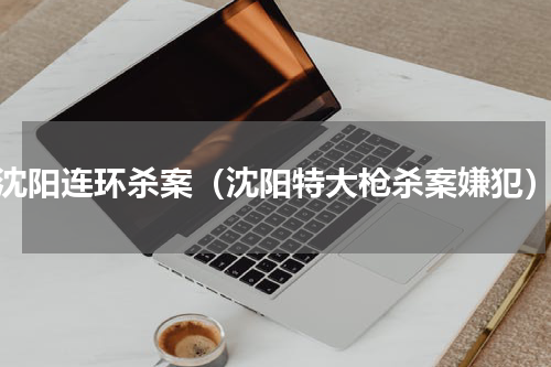 沈阳连环杀案（沈阳特大枪杀案嫌犯）