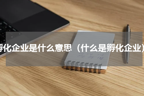 孵化企业是什么意思（什么是孵化企业）