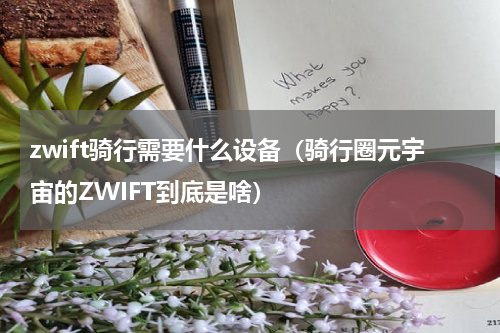 zwift骑行需要什么设备（骑行圈元宇宙的ZWIFT到底是啥）