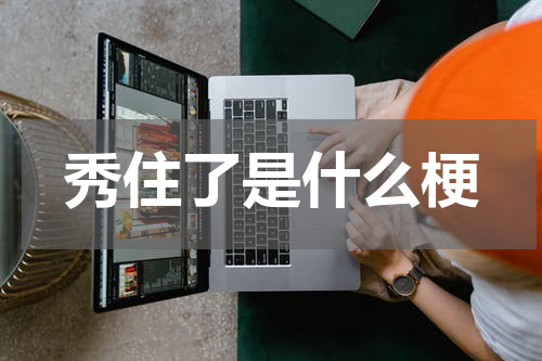 秀住了是什么梗