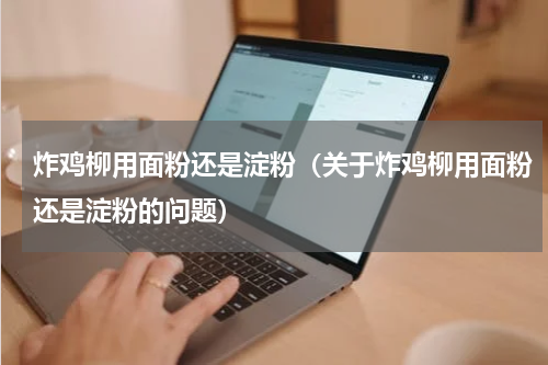 炸鸡柳用面粉还是淀粉（关于炸鸡柳用面粉还是淀粉的问题）