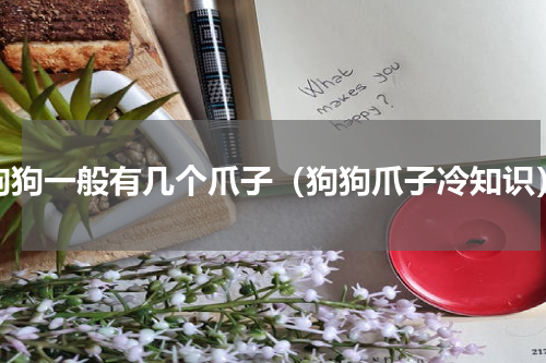 狗狗一般有几个爪子（狗狗爪子冷知识）
