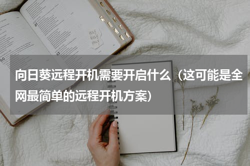 向日葵远程开机需要开启什么（这可能是全网最简单的远程开机方案）