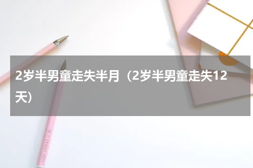 2岁半男童走失半月（2岁半男童走失12天）