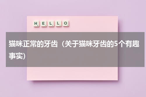 猫咪正常的牙齿（关于猫咪牙齿的5个有趣事实）
